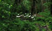 کلیپ ترجمه آیه