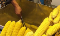 ویدیو استوک بلال