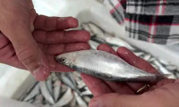ویدیو نحوه پاک