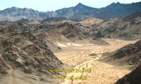 مستند وحشی قسمت