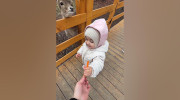 کلیپ دیدنی غذا دادن دختر بچه به آهو ها