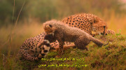 مستند سالی که زمین تغییر کرد ۲۰۲۱ زیرنویس فارسی