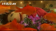 سریال مجید دلبندم قسمت هفتم ۷
