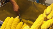 ویدیو استوک بلال خیابانی برای ادیت کلیپ