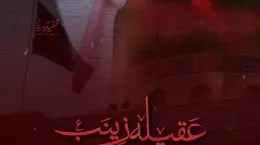 کلیپ مداحی وفات حضرت زینب برای استوری و وضعیت