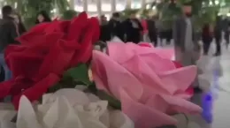 کلیپ تولد امام حسین علیه السلام برای وضعیت
