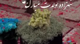 کلیپ مولودی ولادت حضرت علی اکبر برای استوری و وضعیت