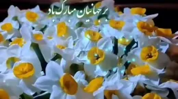 کلیپ شاد ولادت امام زمان برای استوری و وضعیت