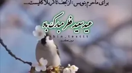 کلیپ عید سعید فطر مبارک برای استوری