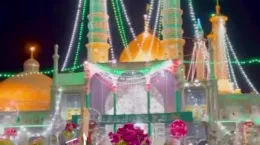 کلیپ شاد ولادت حضرت معصومه ۱۴۰۴ برای استوری و وضعیت
