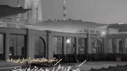 کلیپ شهادت امام محمد باقر علیه السلام ۱۴۰۴ برای وضعیت واتساپ