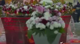 کلیپ ولادت امام صادق مبارک ۱۴۰۴ برای استوری و وضعیت