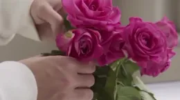 کلیپ تولد امام حسن عسکری ۱۴۰۴ برای وضعیت واتساپ