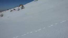 کلیپ کامل مرد حسابی مگه نمیبینی میگم چاهه از آقای بزرگ