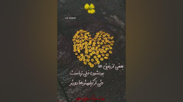 جدیدترین کلیپ تبریک روز رفیق ۱۴۰۵