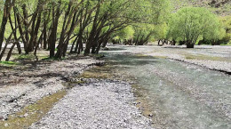ویدیو زیبا از دریاچه گهر لرستان