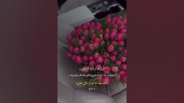کلیپ تولد تیر ماهی برای وضعیت