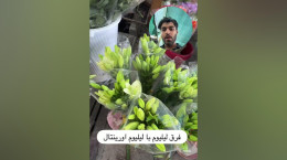 فرق گل لیلیوم و لیلیوم اورینتال