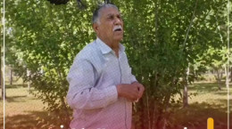 دشمنی سه ساله کلاغ کینه ای با پیرمرد ایرانی