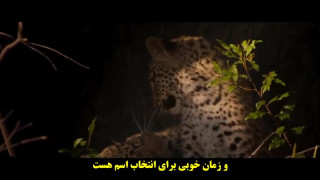 دانلود فیلم زندگی با پلنگ ها با زیرنویس فارسی