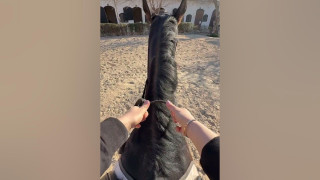 نحوه هدایت اسب به ساده ترین شکل